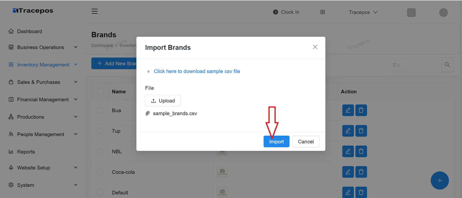 Screenshot of the import modal with a file selected and the Import button highlighted