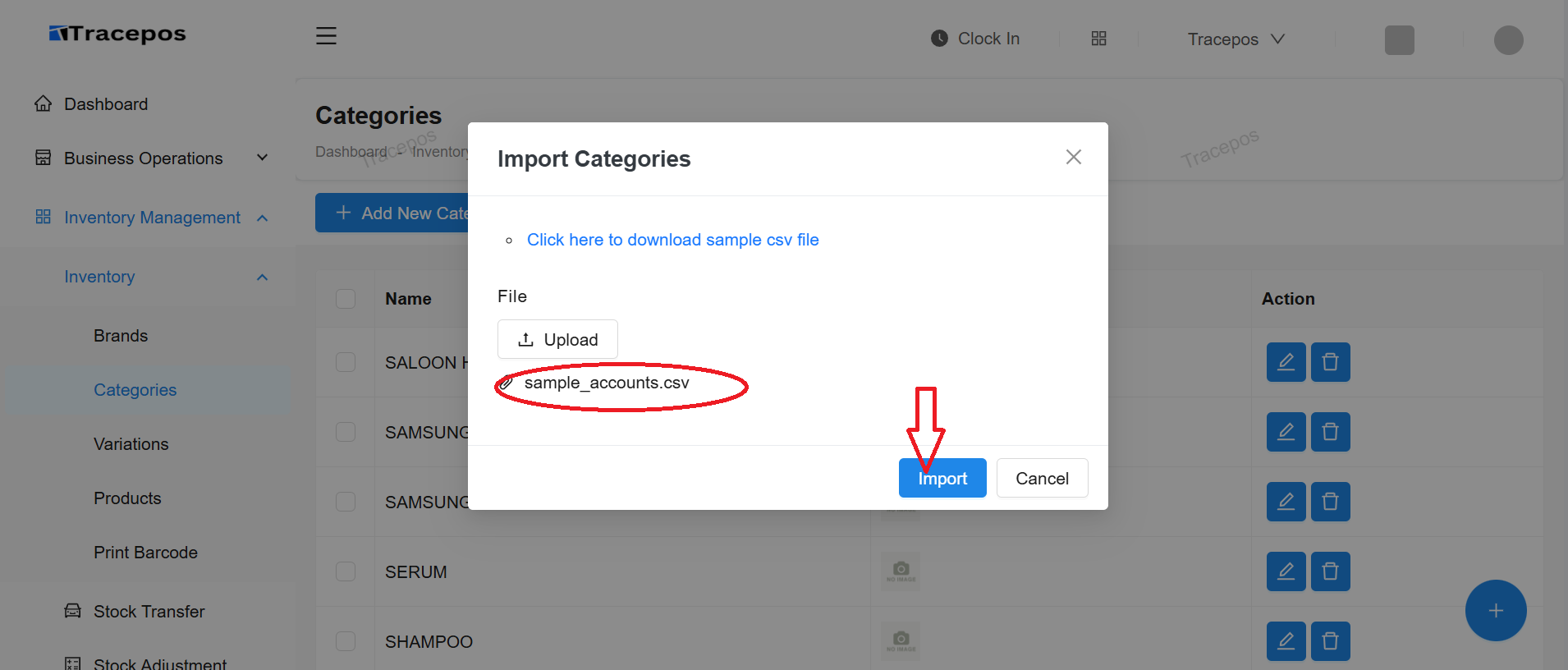 Screenshot of the import modal with a file selected and the Import button highlighted