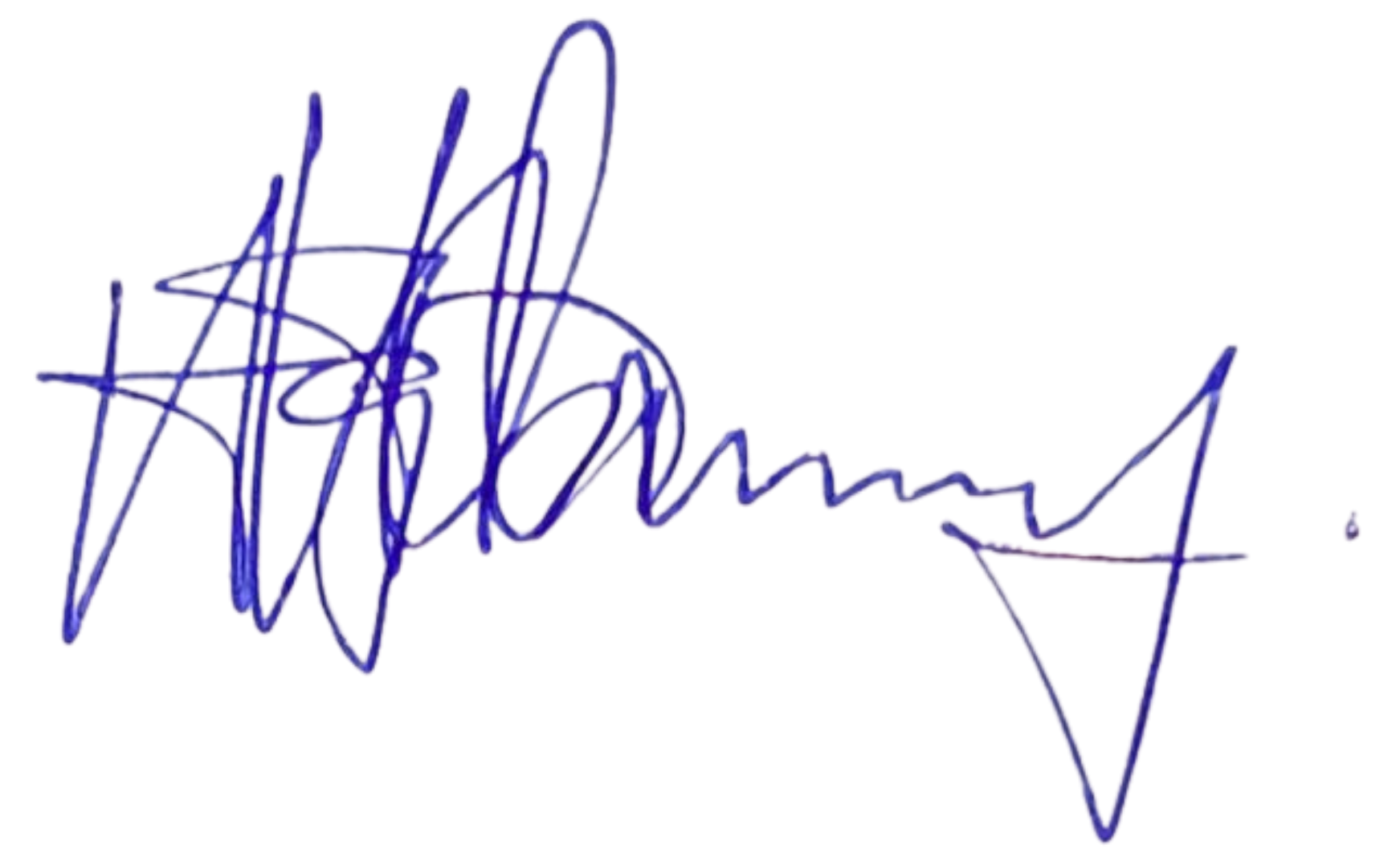 Official Executive Signature